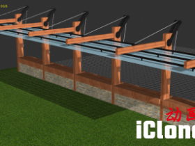 ��iclone��������ͤ