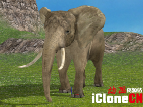 【iclone模型】大象