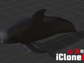 【iclone模型】鲸
