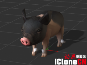 [iclone模型]猪